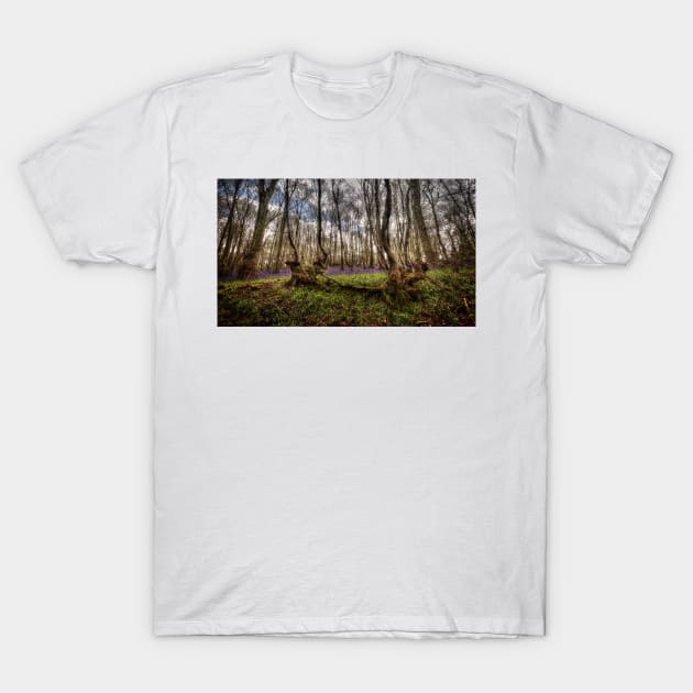 Bluebell Wood T-Shirt by Nigdaw